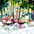 scan0001